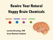 Rewire your brain loretta Bruening phd biography